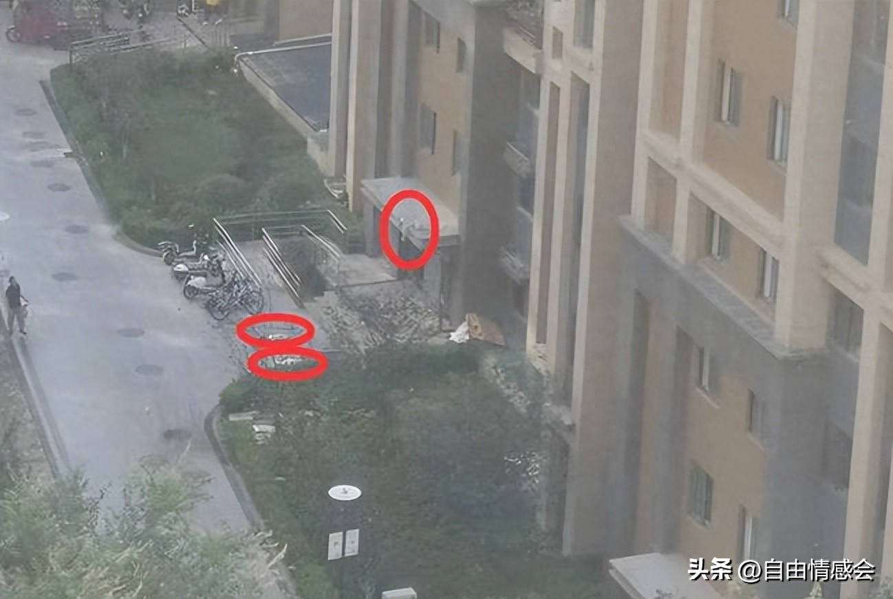 青岛山河城女子坠楼事件后续,青岛城阳星河城坠楼事件