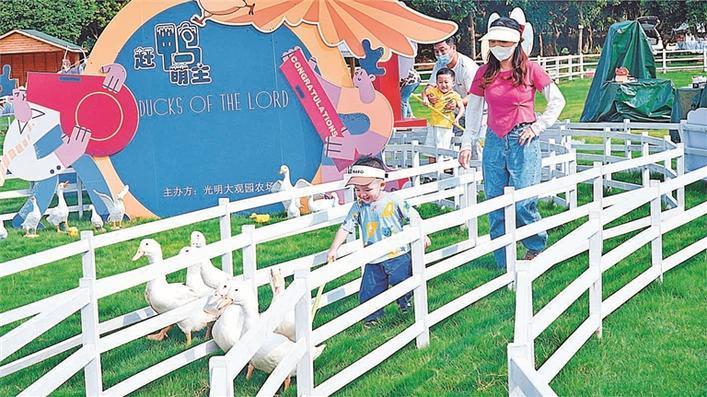 深圳光明农场大观园游玩攻略,南宁光明农场游玩攻略