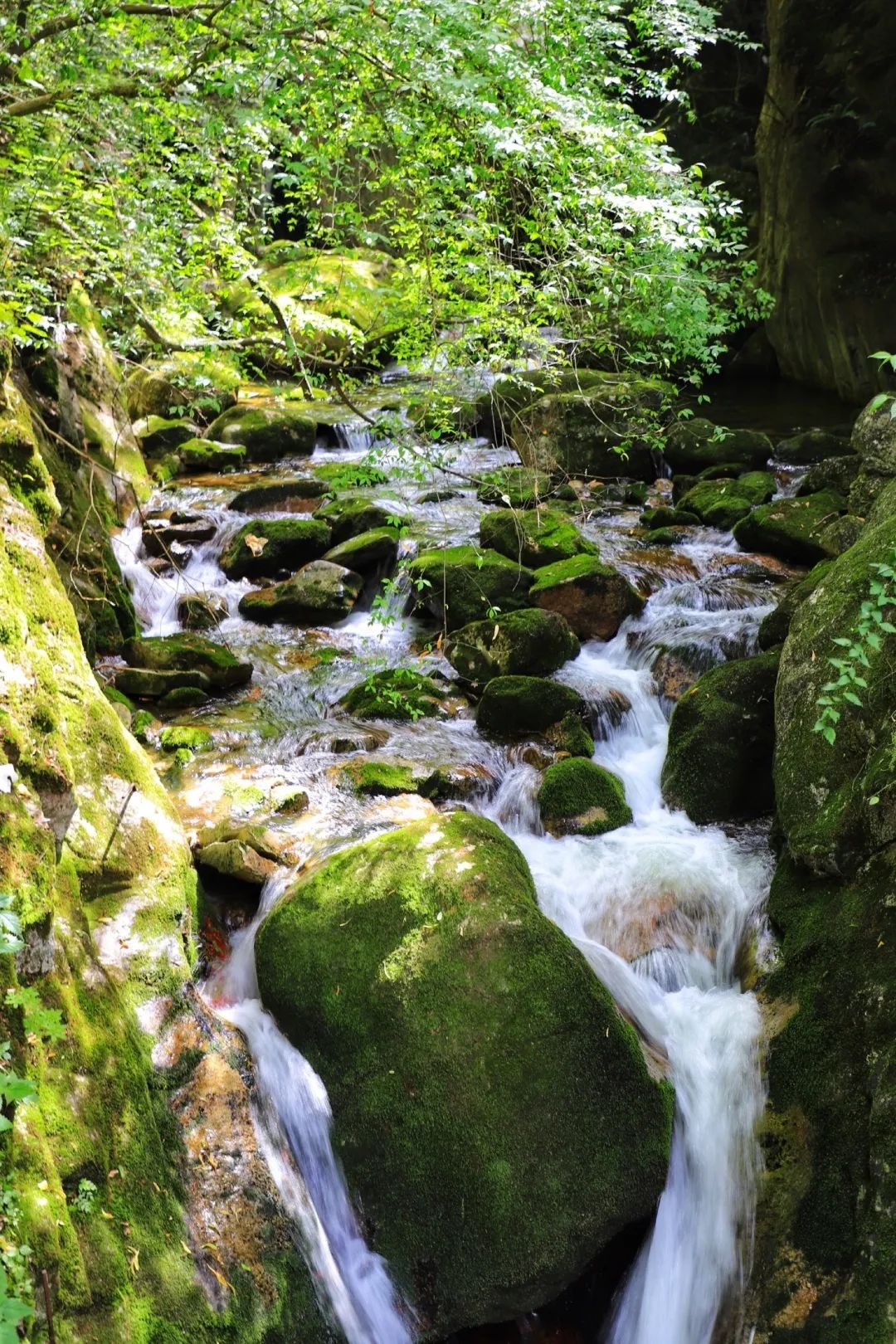 来西安过年这篇攻略就够了,来了西安应该玩什么