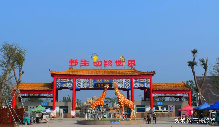 聊城值得一去的旅游景点,聊城有什么值得玩的地方