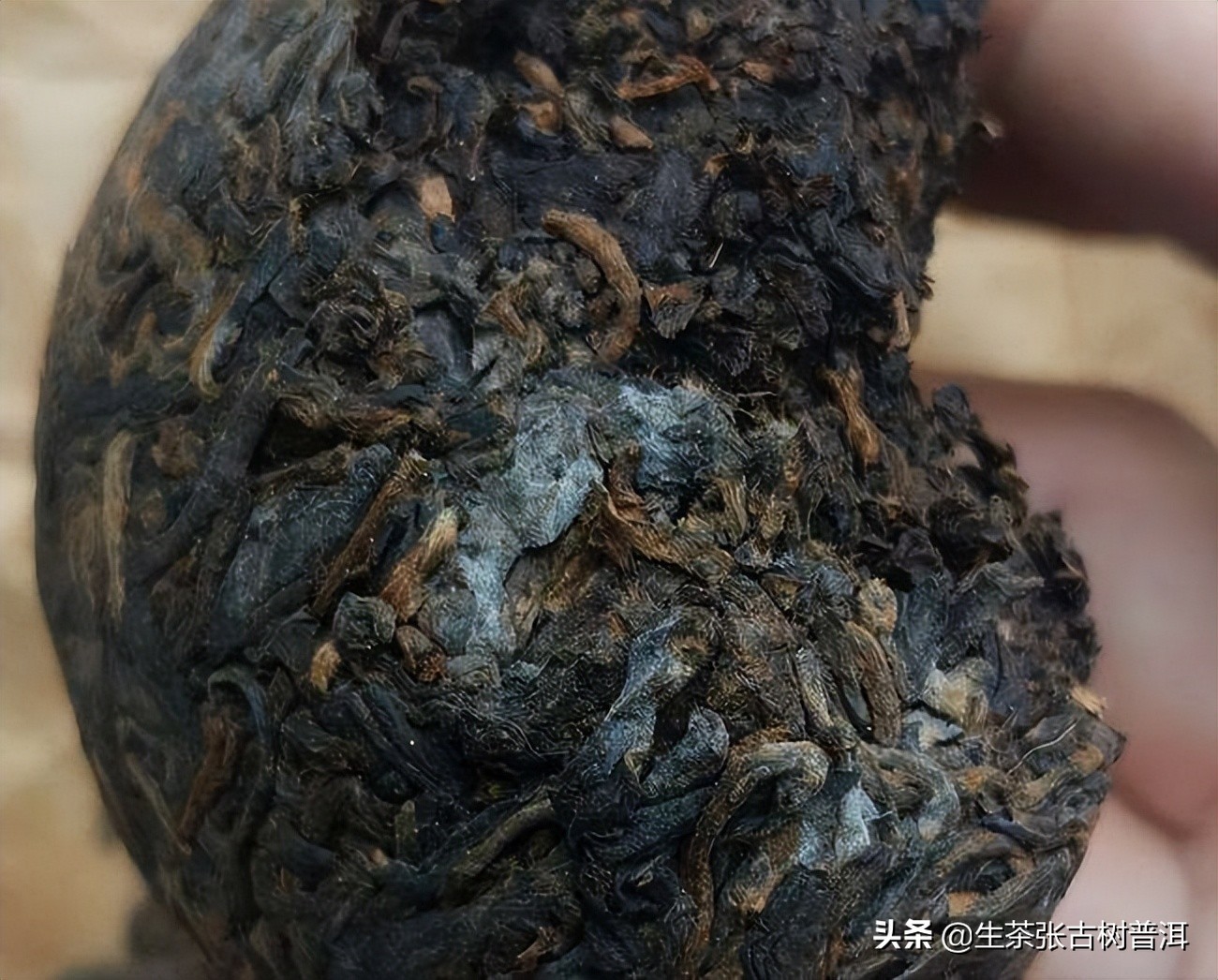 普洱茶有霉味怎么处理,普洱茶怎么放不会有霉味