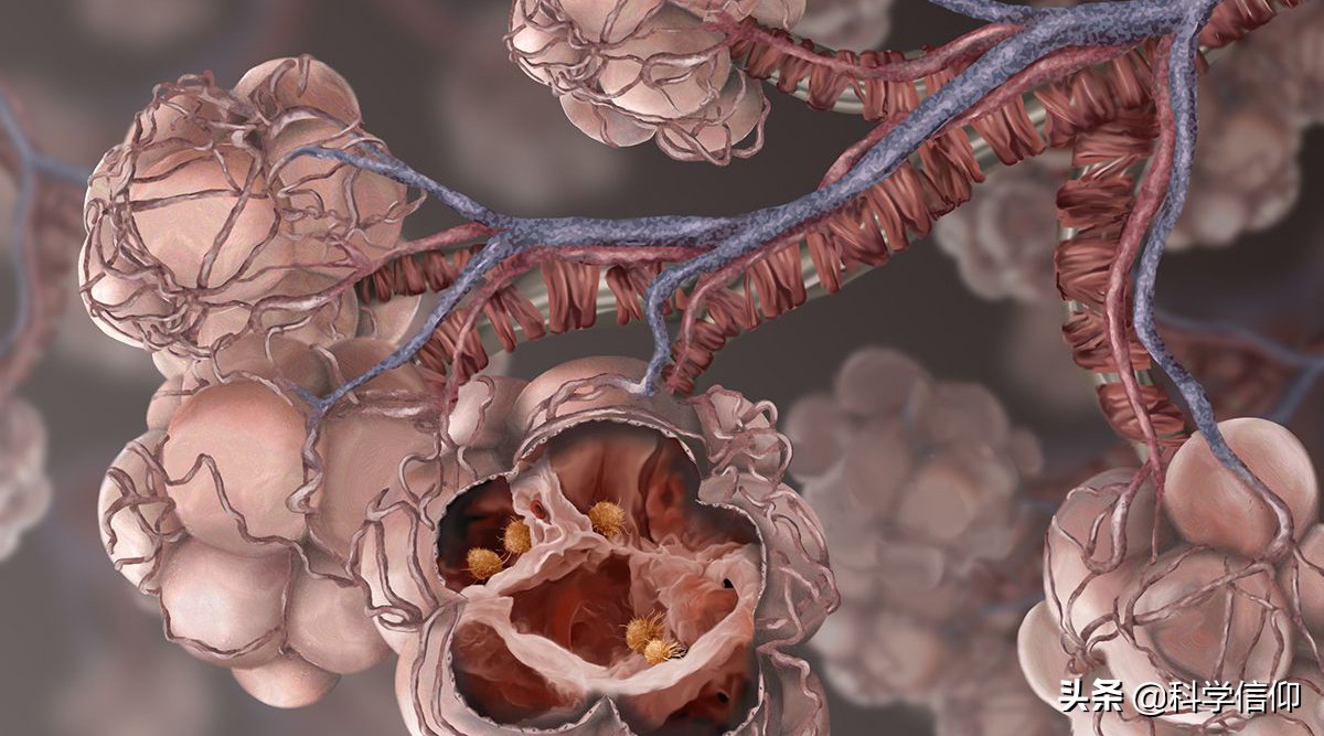 打鼾呼吸困难原因,打鼾呼吸不畅缺氧发炎