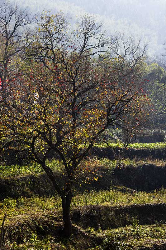 黄山市到皖南川藏线自驾游攻略,黄山市到徽州古城旅游攻略路线图