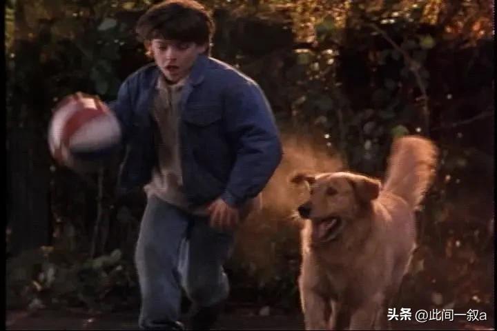 飞狗巴迪的知识,飞狗巴迪简介