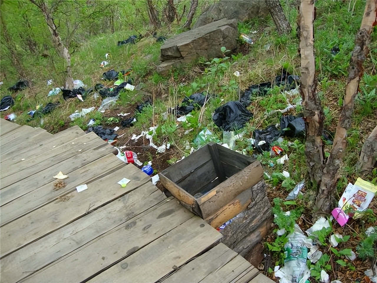 曾指责中国游客乱扔垃圾的韩国，如今游客变少，他们还能怪谁