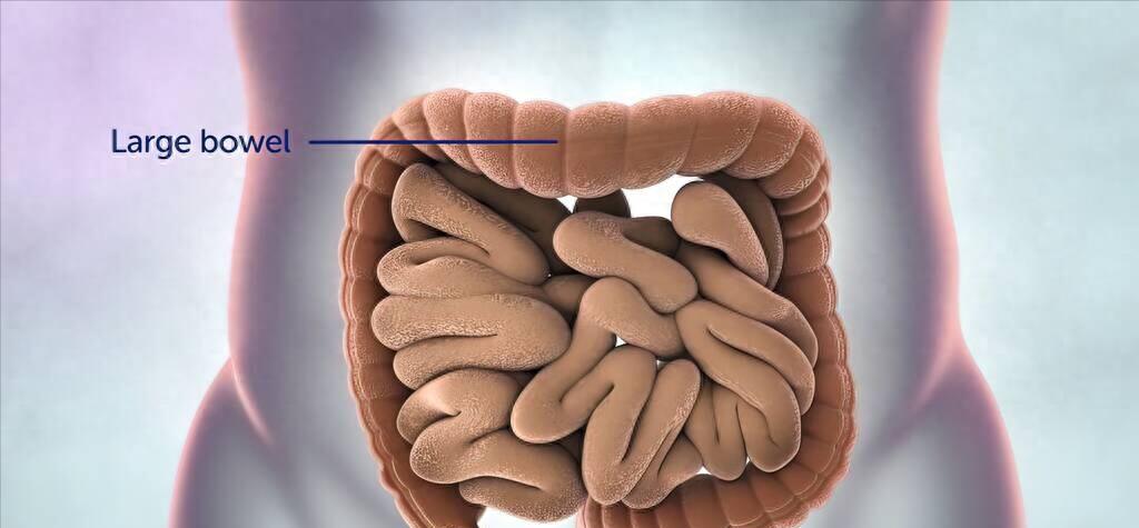 六岁男童腹痛呕吐,4岁男孩突然呕吐不止