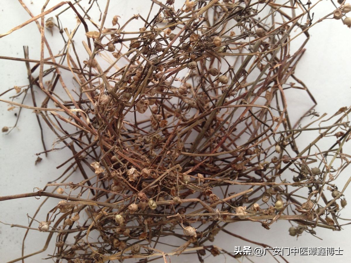 中医治疗痰瘀互结中药方剂,软坚散结治鼻咽癌的中药