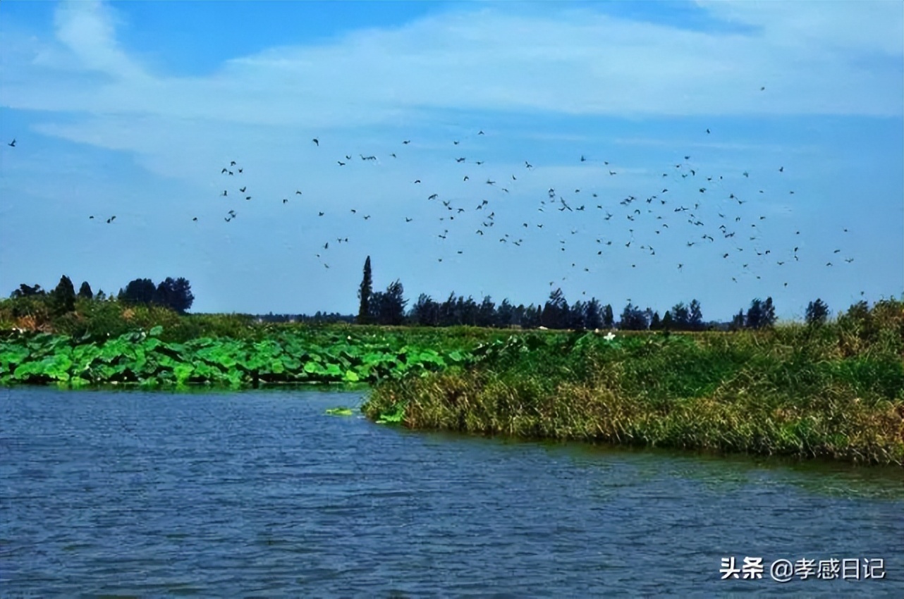 孝感邓家河湿地公园投资多少钱,90亿巨资的河滩公园