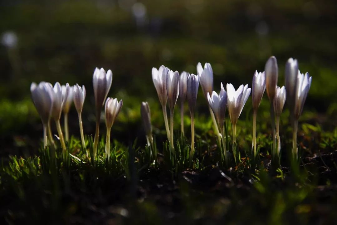 火了！新源又火了！全国瞩目，未来发展不可估量！为你的家乡比心