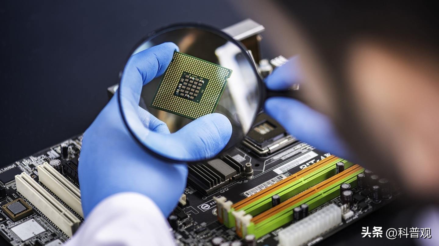 日本垄断中国市场百分之多少,日本垄断的西兰花