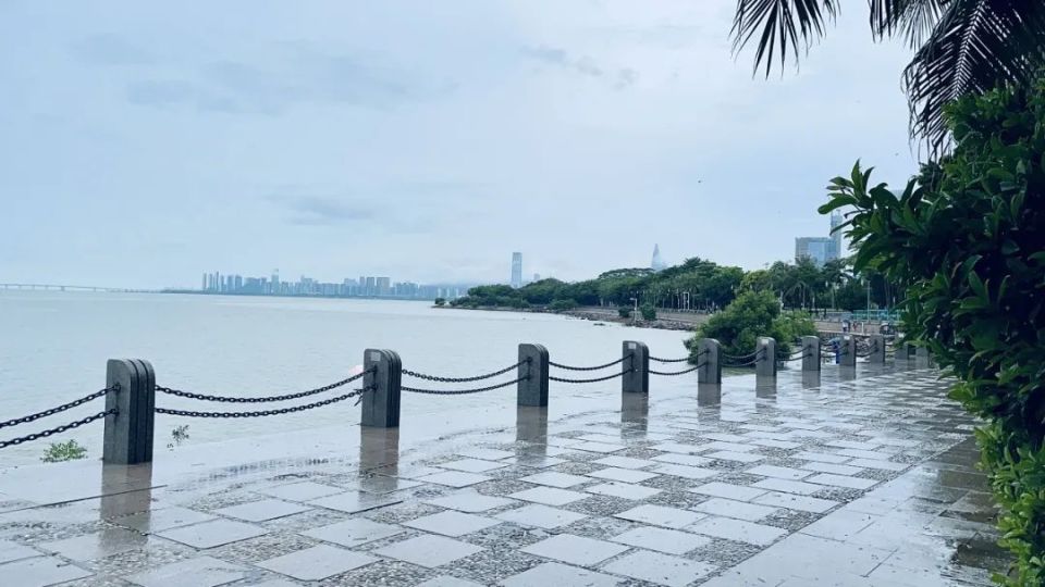 “华誉坊杯”创投精英商道悟行城市徒步挑战圆满成功