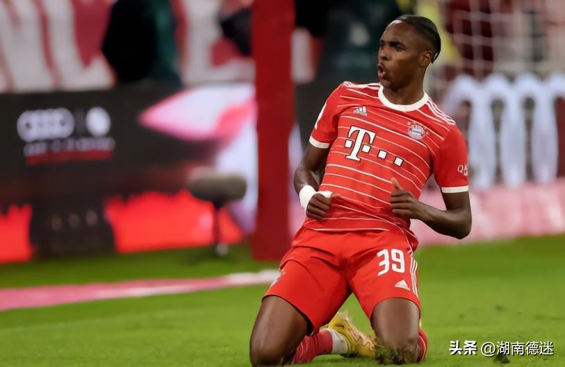 拜仁转会传闻,拜仁转会最新动态沙尔克