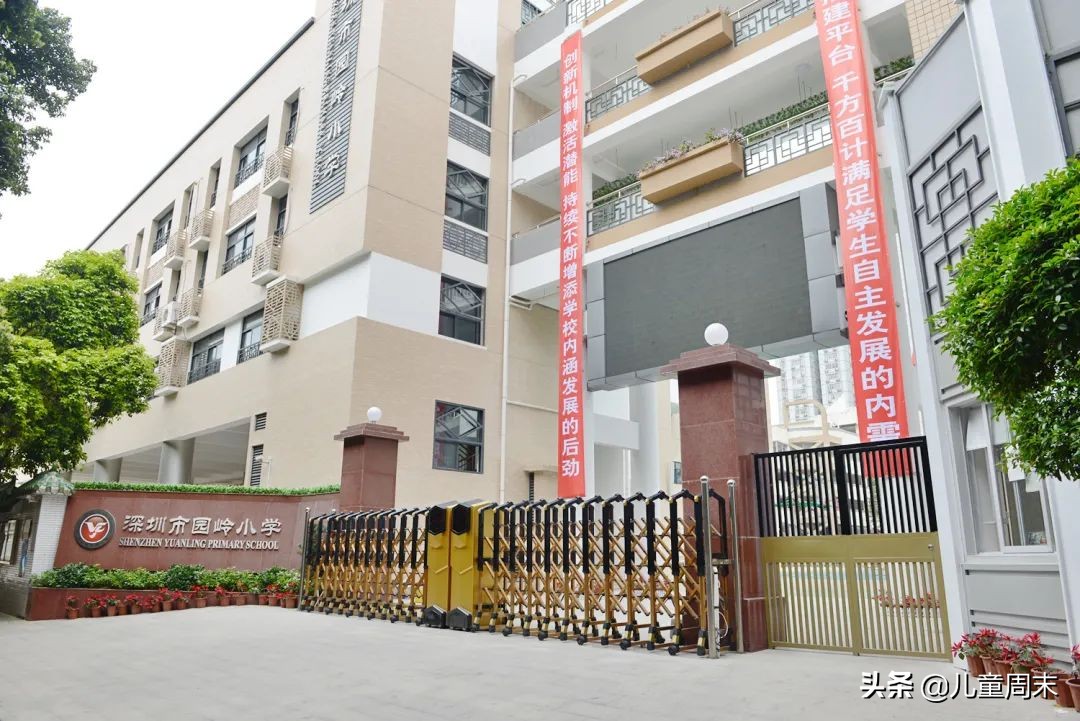 深圳各区有哪些热门学校,深圳福田私立小学学校排名