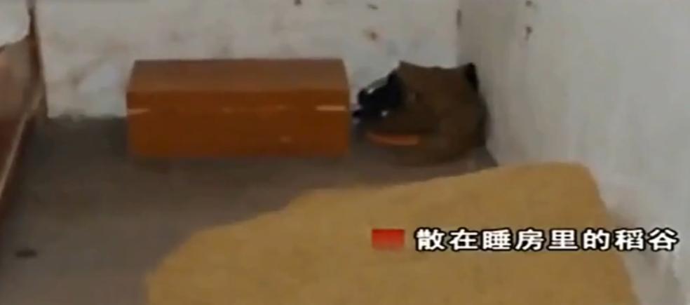 妻子半夜磨刀剁肉,妻子深夜欲杀丈夫