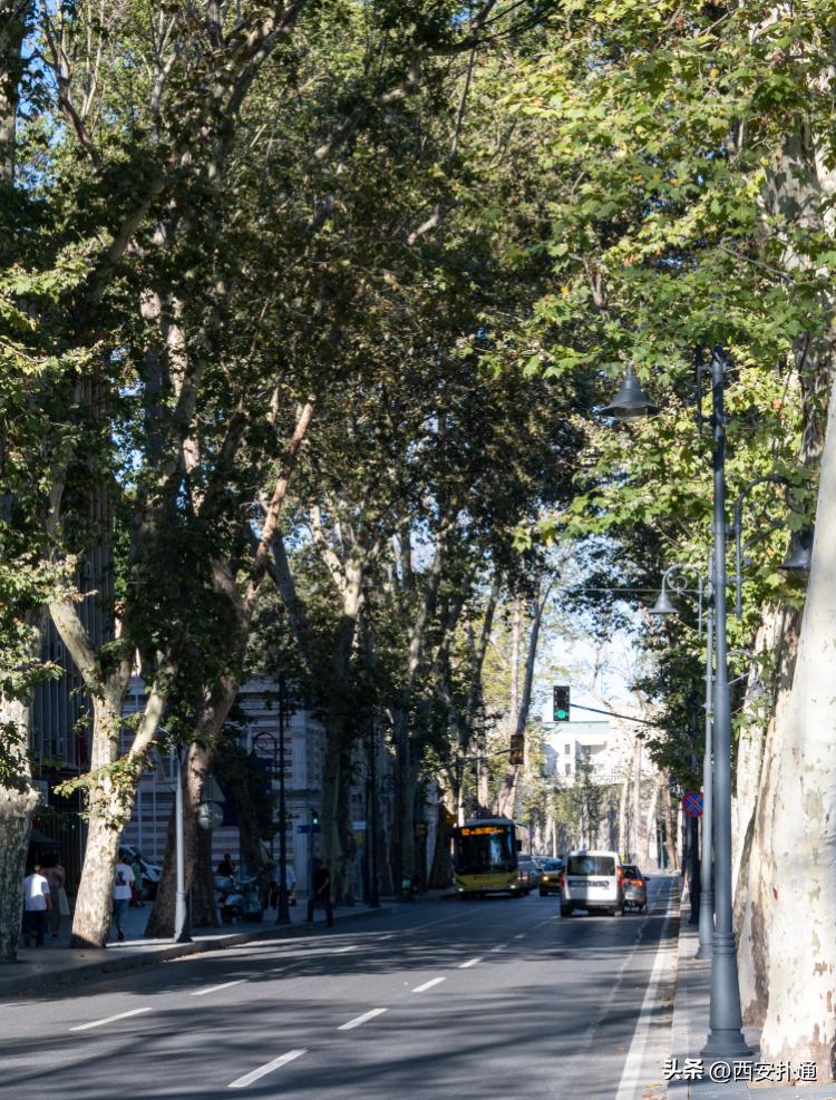 西安网约车哪些地方堵不能去,西安网约车危险吗