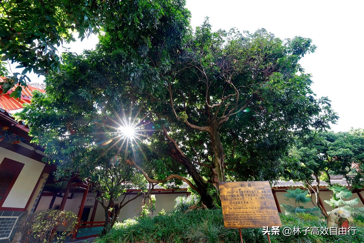 福州最新玩法,福州市区游玩攻略