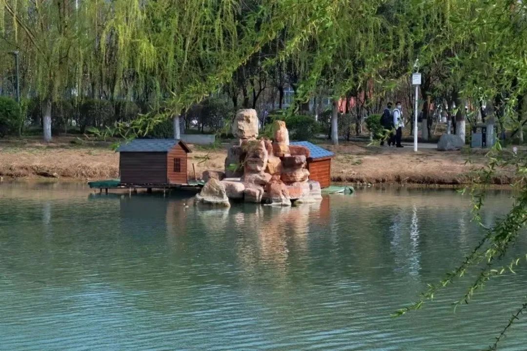 选择郑州城轨交通学校,郑州航院一本还是二本呢