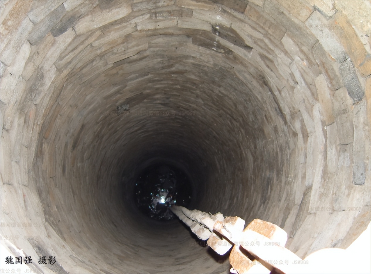 蛟龙的蛟是真的存在的吗,蛟龙发现什么生物