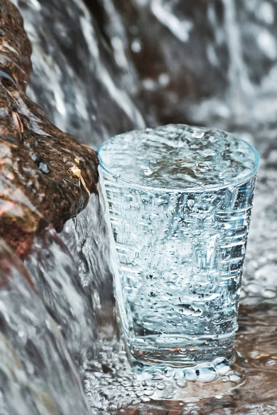 什么牌子水泡茶最好喝,什么牌子的水泡茶最好喝