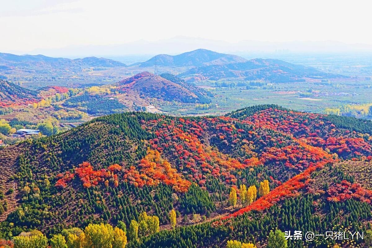 你以为是北上广？错了，中国美女最多的城市是？