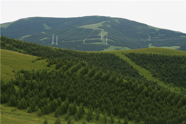 沽源县抗日历史,沽源抗战