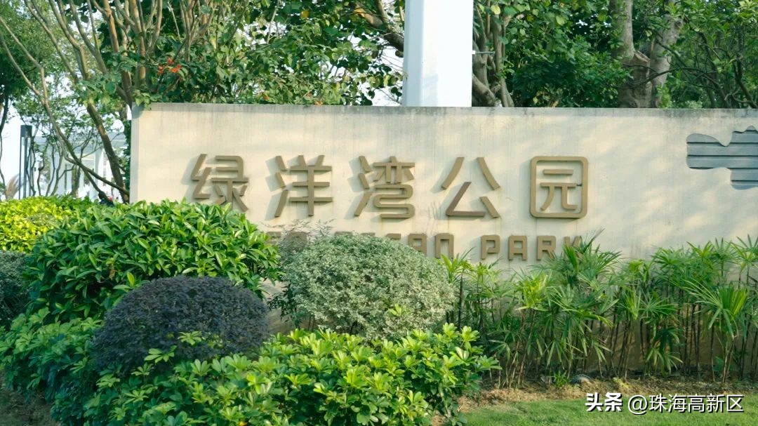 遛娃必看！这些春日色彩，就藏在高新区的公园里…