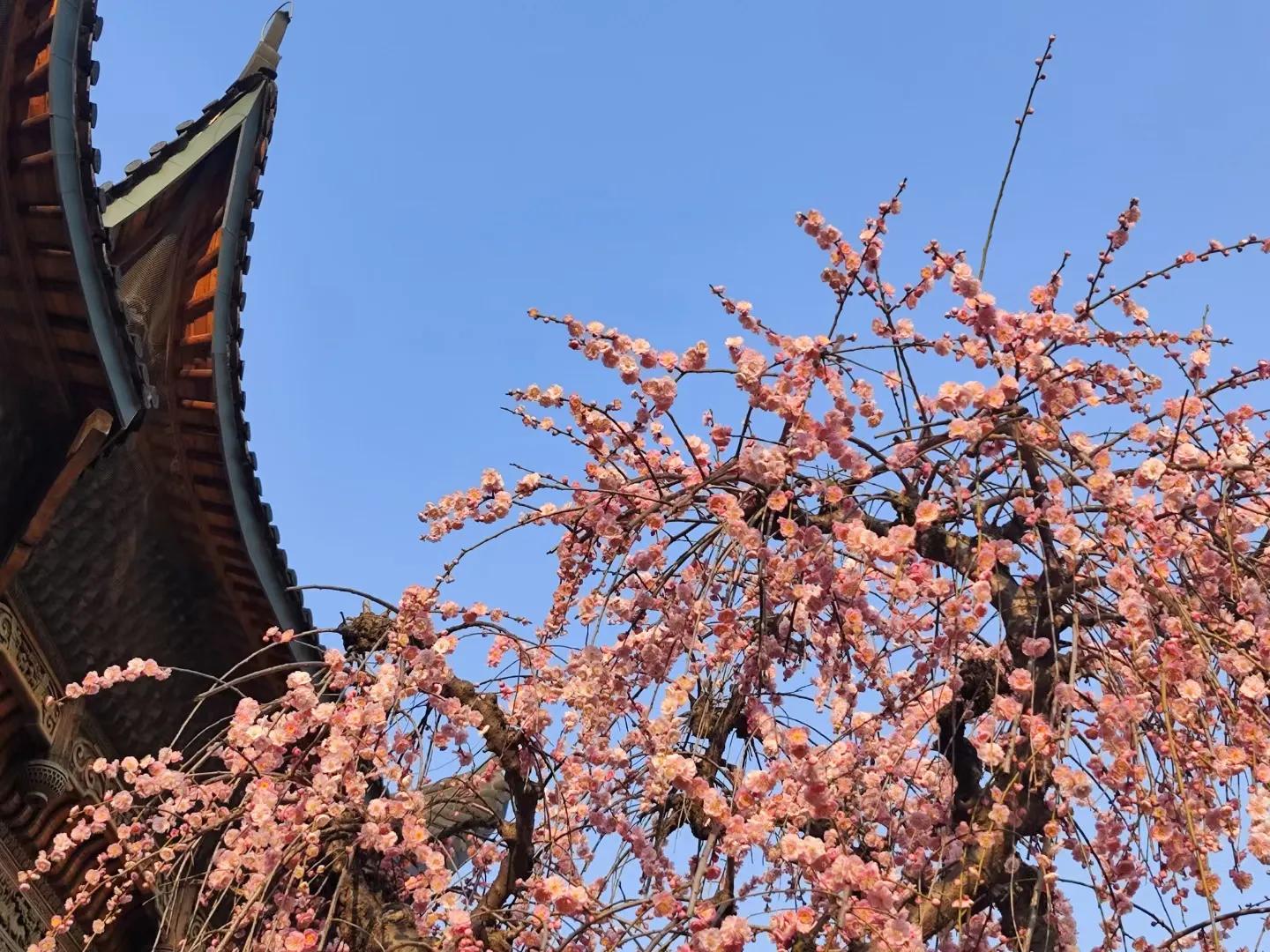 现在香港电影为什么那么少,为什么香港的电影发展那么迅猛