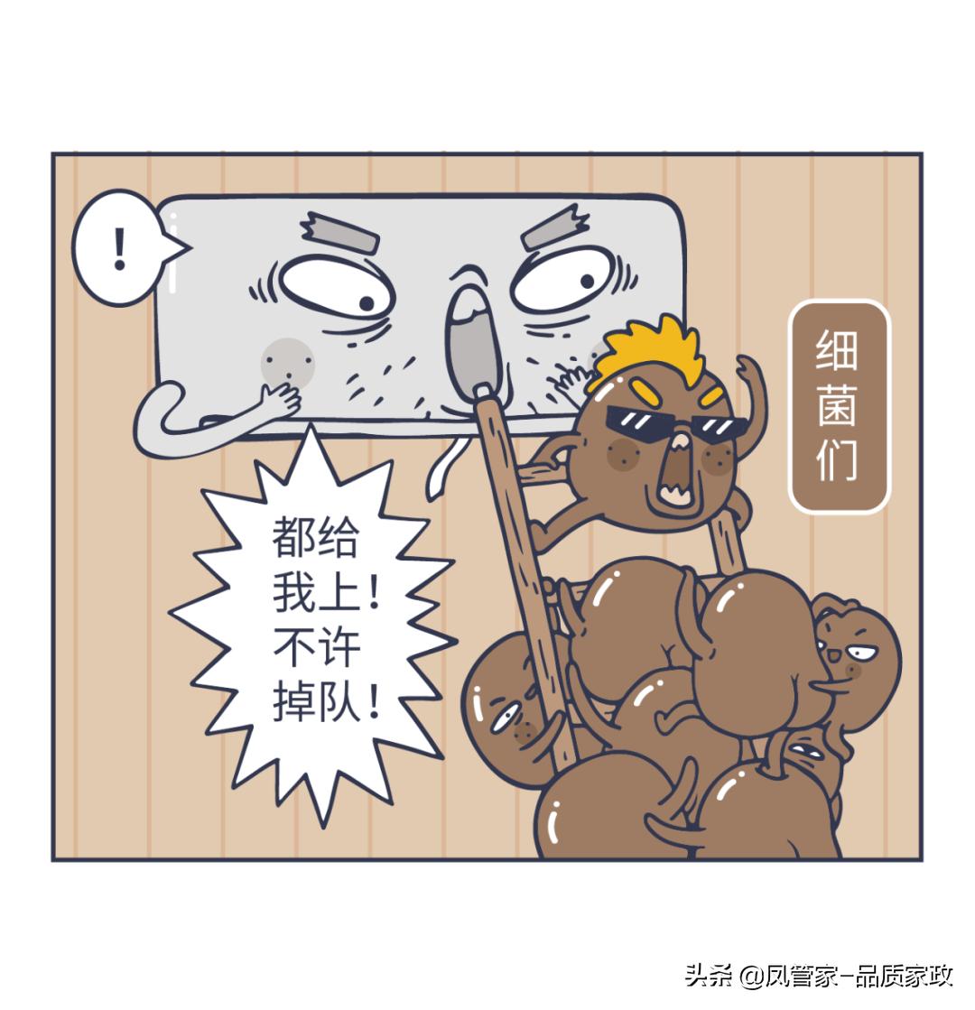 什么东西不能洗比马桶还脏,不清洗家电比马桶还脏