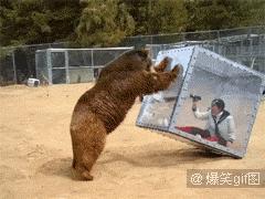 简短沙雕冷笑话,沙雕冷笑话故事