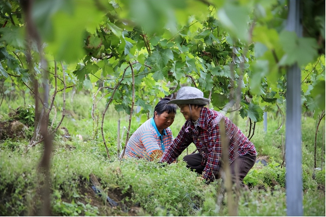 上川路吴老幺火锅,吴老幺火锅推荐菜