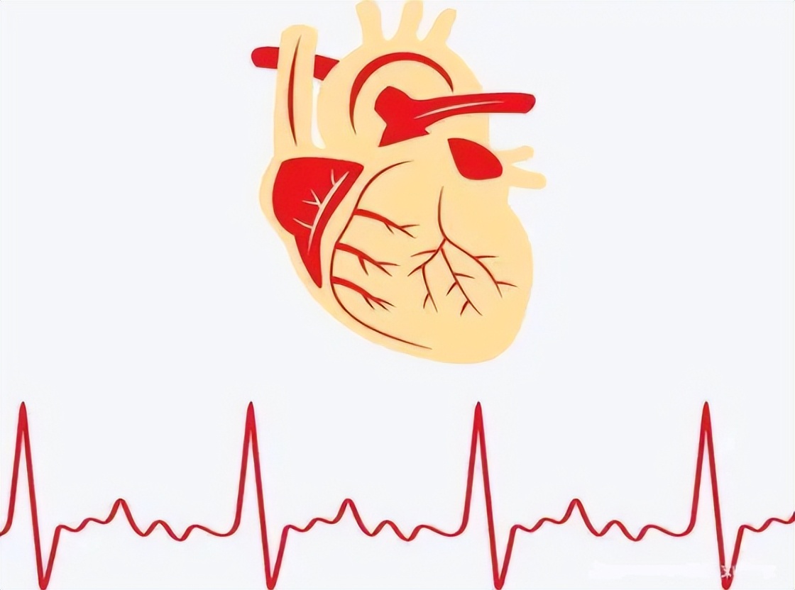 最新国际正常心率范围,心跳多少次算正常范围