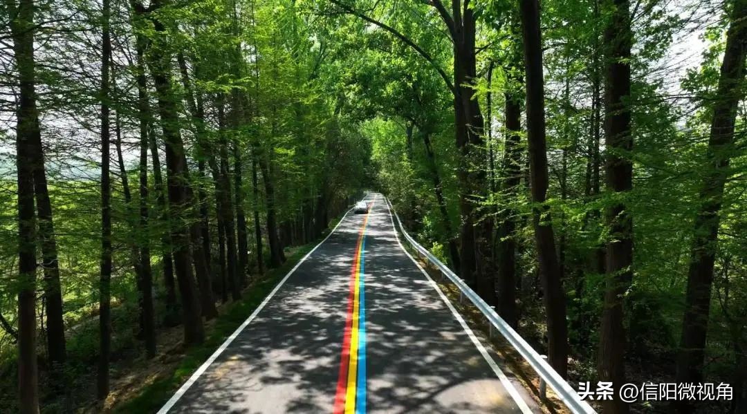 信阳市羊山新区最新规划图,信阳市羊山新区道路图