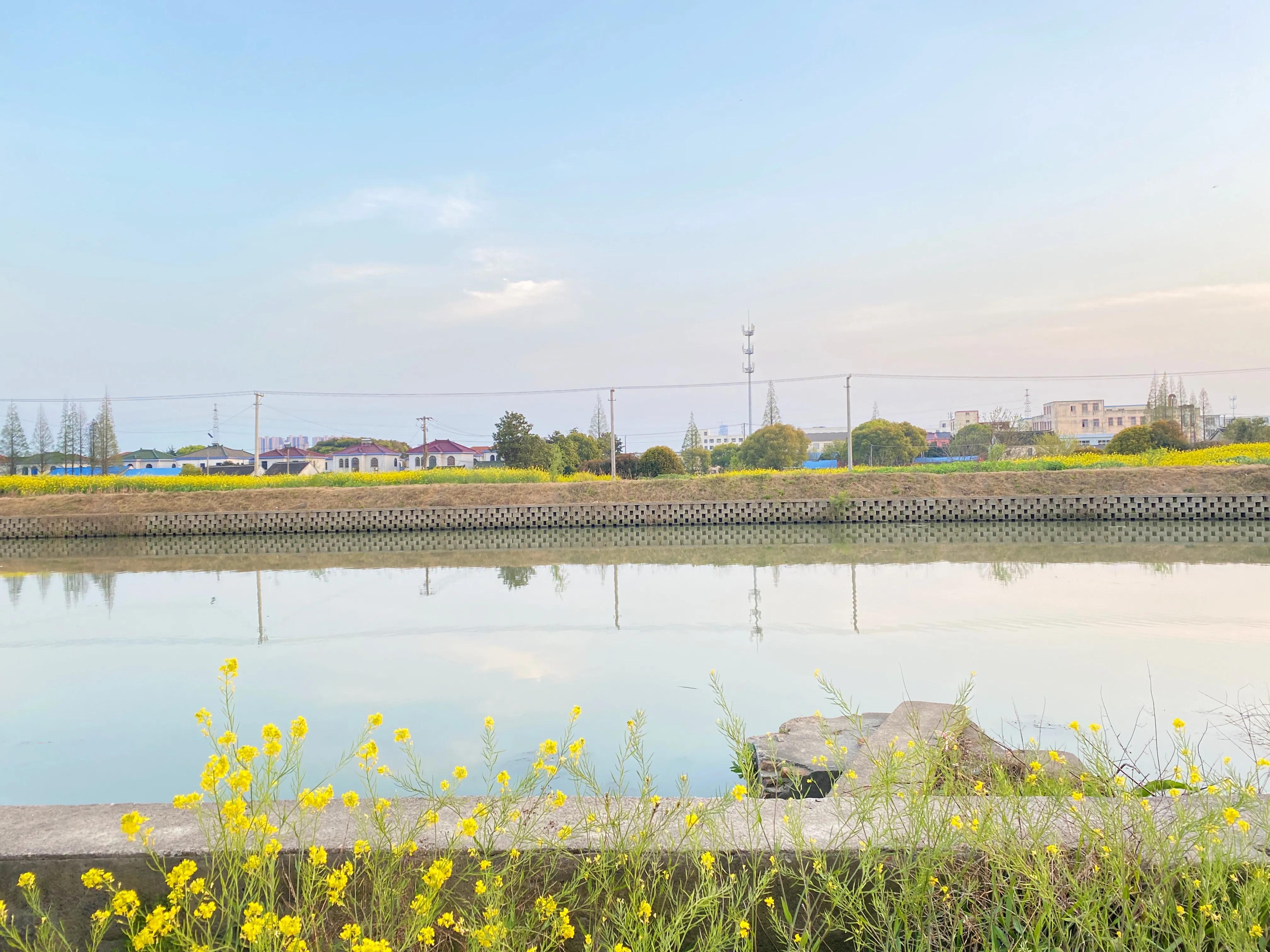 苏州渭塘风景,苏州渭塘古镇