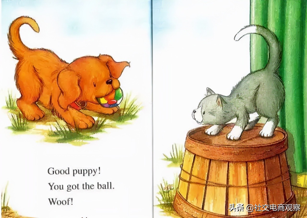 biscuit小饼干狗22册,7-12岁英语绘本有声绘本完整版
