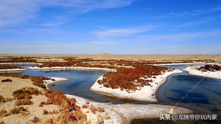 初秋额济纳胡杨林风景,额济纳秋天美景