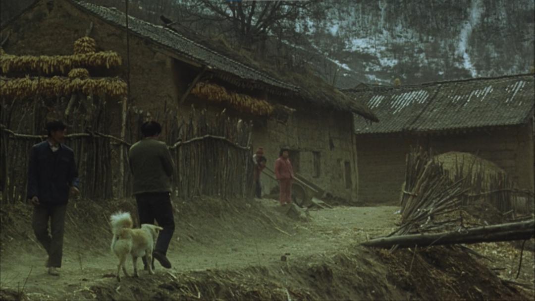 想回乡开小卖部“躺平”？我家四十年经验告诉你没那么容易