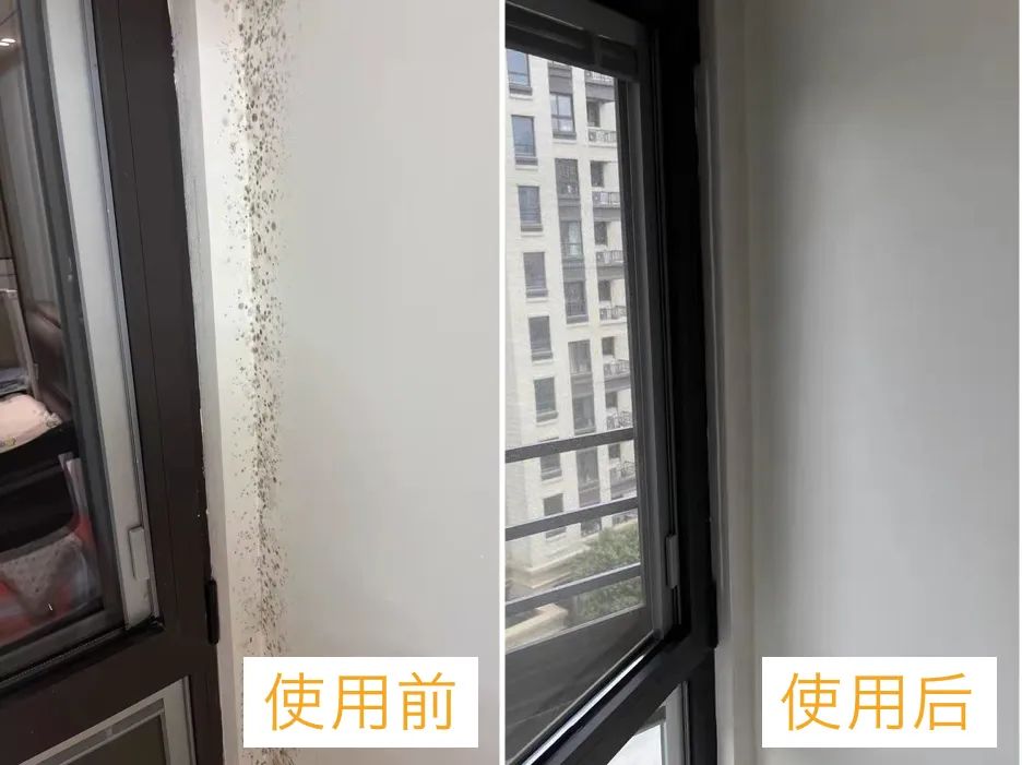 夏天屋内霉斑,下雨受潮的霉斑怎么清洗