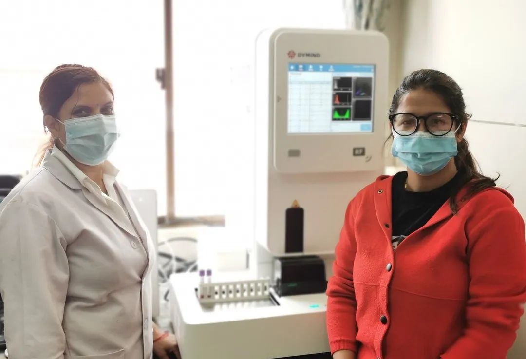 帝迈属于国产吗,帝迈有哪些产品