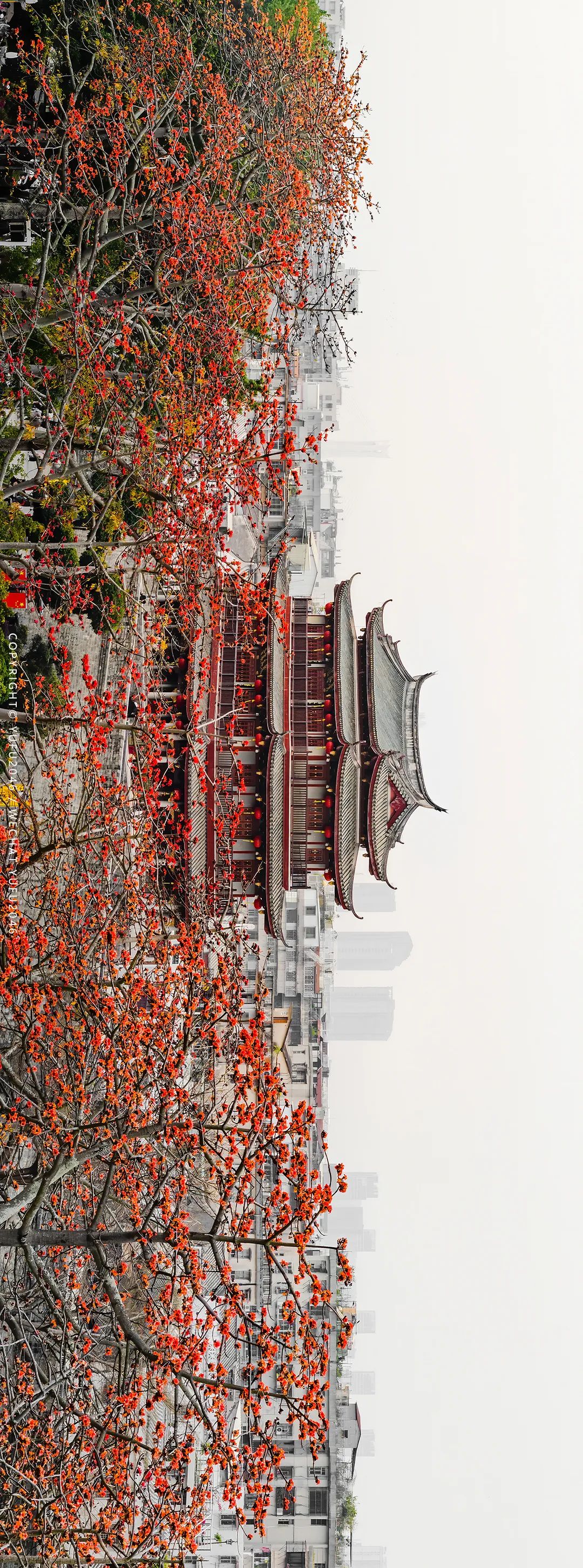 潮州古城别样的风景,瞰见潮州