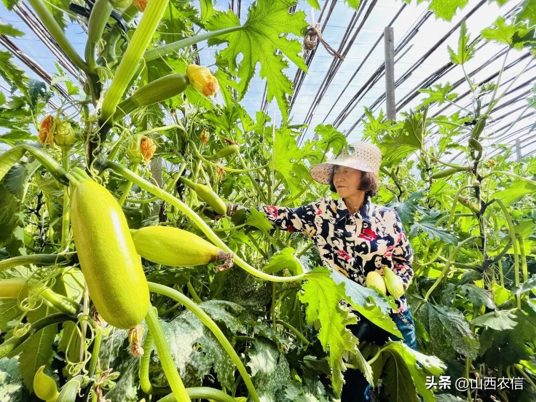 看见农信｜汇通千万里服务零距离