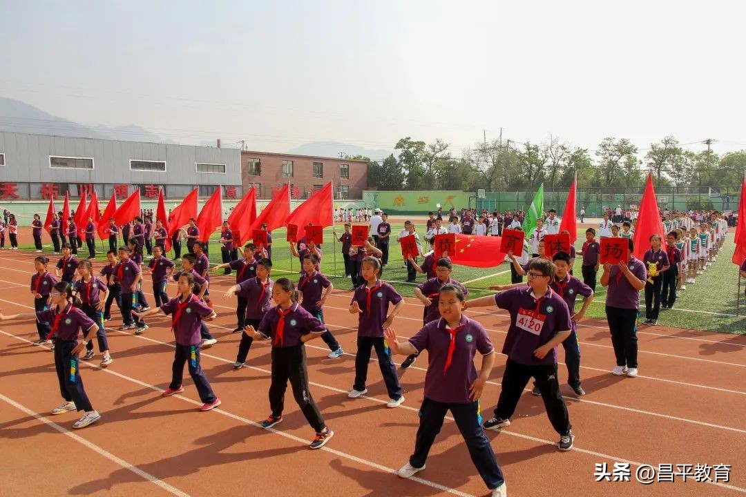 校园赛场青春激扬活力四射,推荐校园竞技