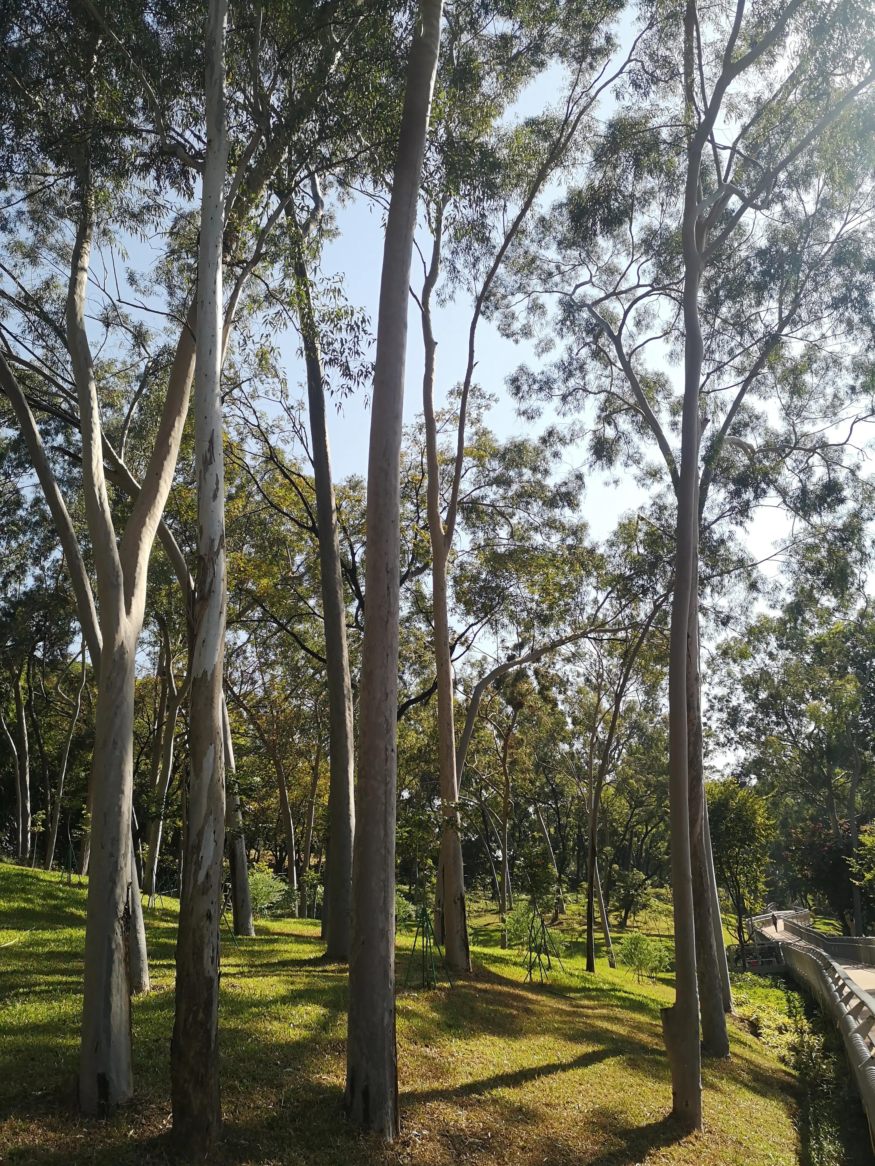 白云山探索,广州云道白云山南门