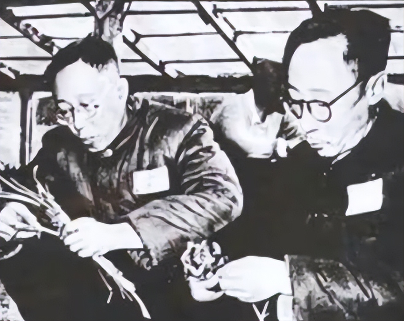 1962年，毛主席问溥仪：传国玉玺去哪了？溥仪回答后不禁黯然神伤