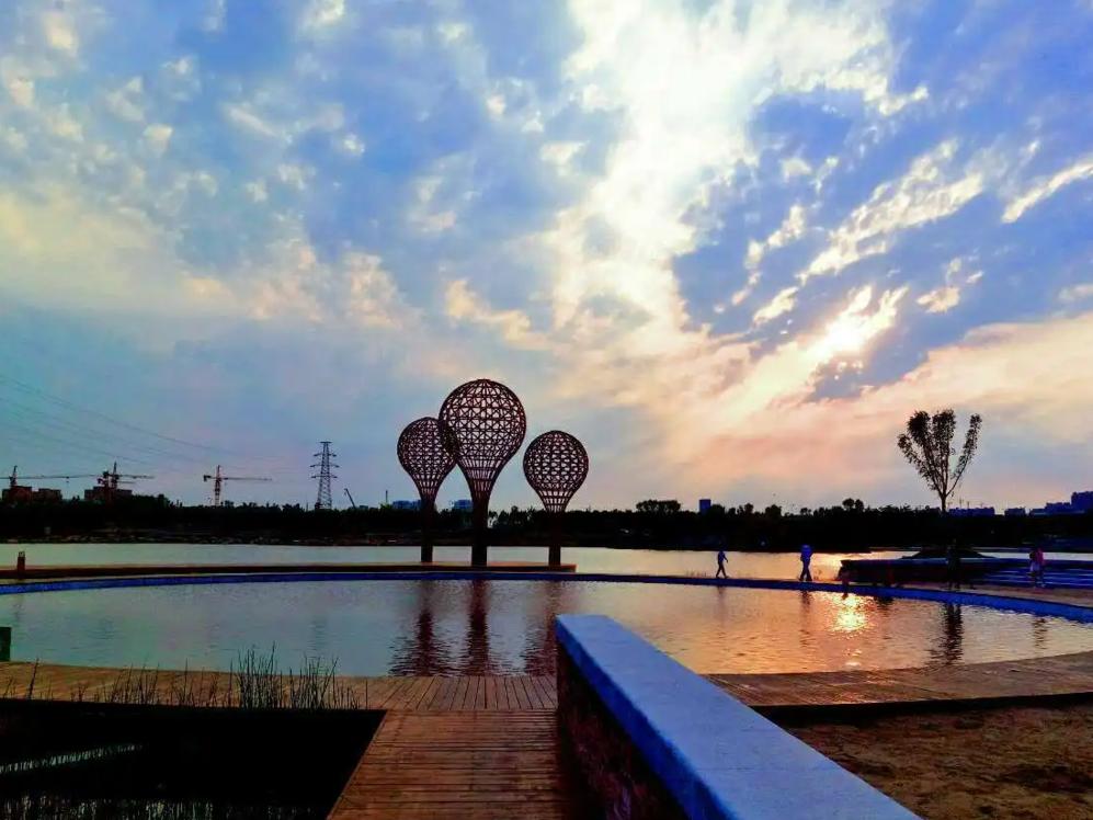 在东营五一假期应该去哪玩,东营人五一旅游攻略自由行