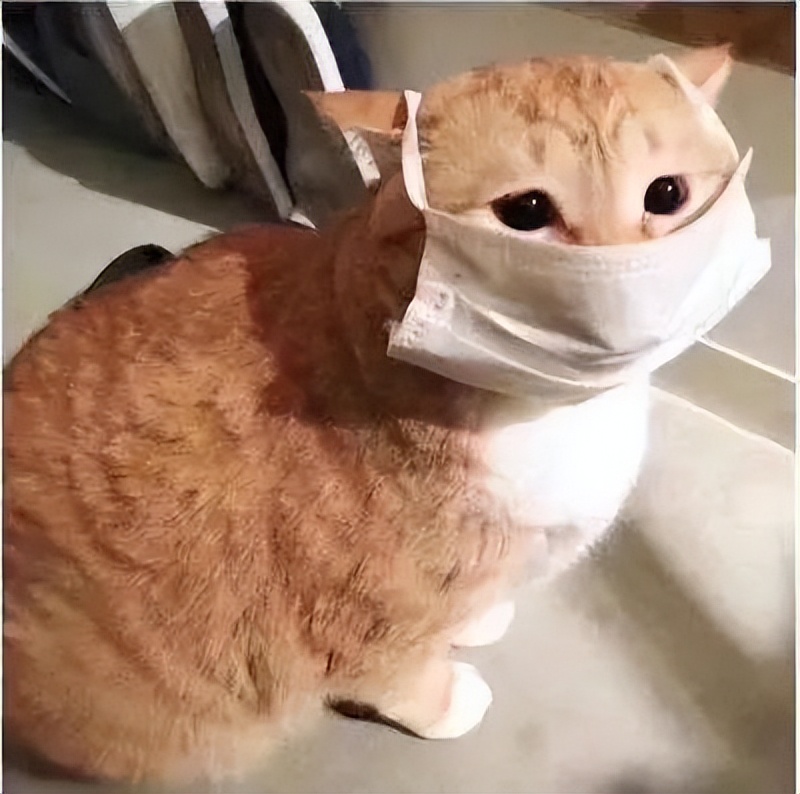 昆山客车恢复运行通知,昆山最新快递恢复时间通知