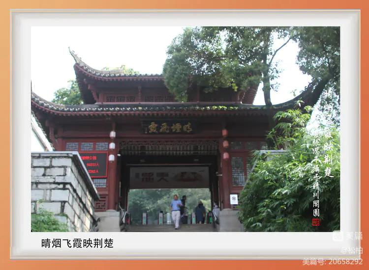 诗图战友情（九十）黄鹤楼抒怀