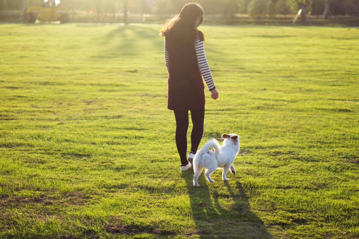 孕期不听话该怎么处理,为母则刚孕期有多难熬