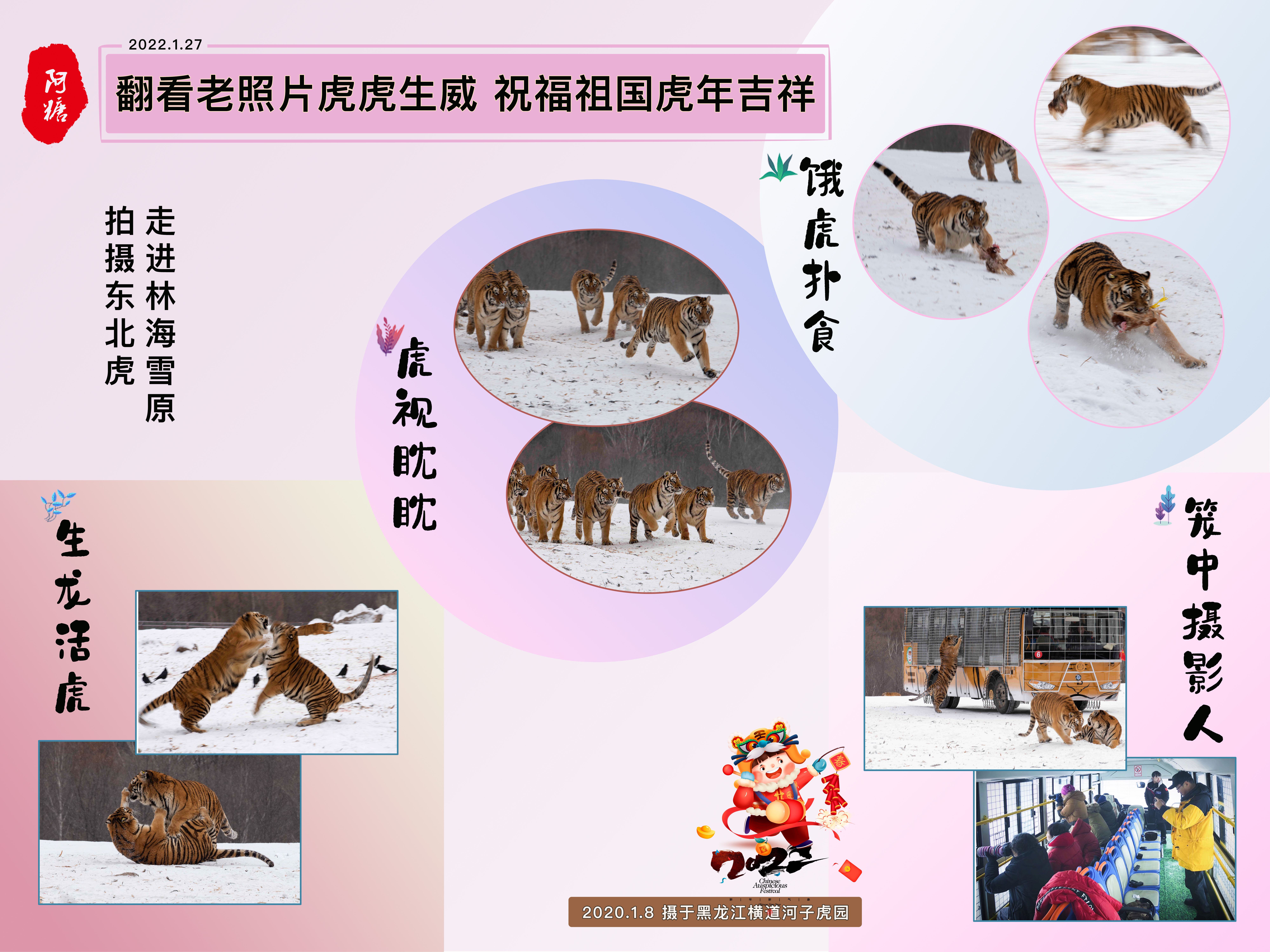 自制贺年卡图片,自制贺年卡的图片