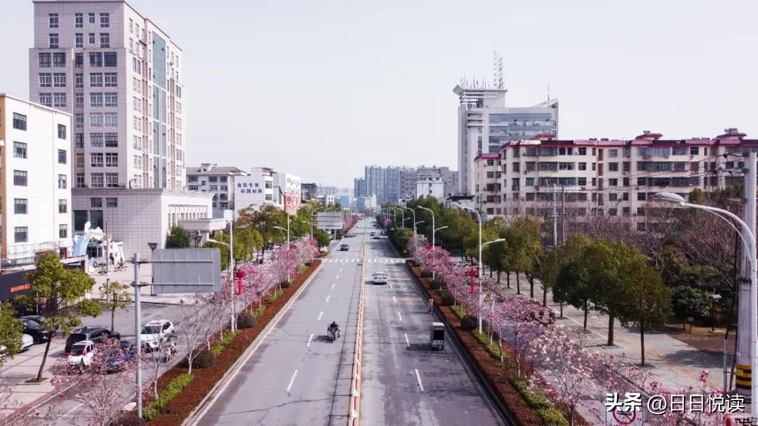 湖北荆州：石首“繁花”上大分↑即将刷爆朋友圈！
