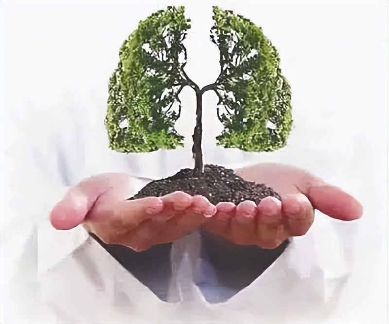 百合固金丸养阴润肺的中成药,专治口干鼻干百合固金丸